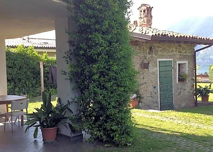 Il Gelsomino